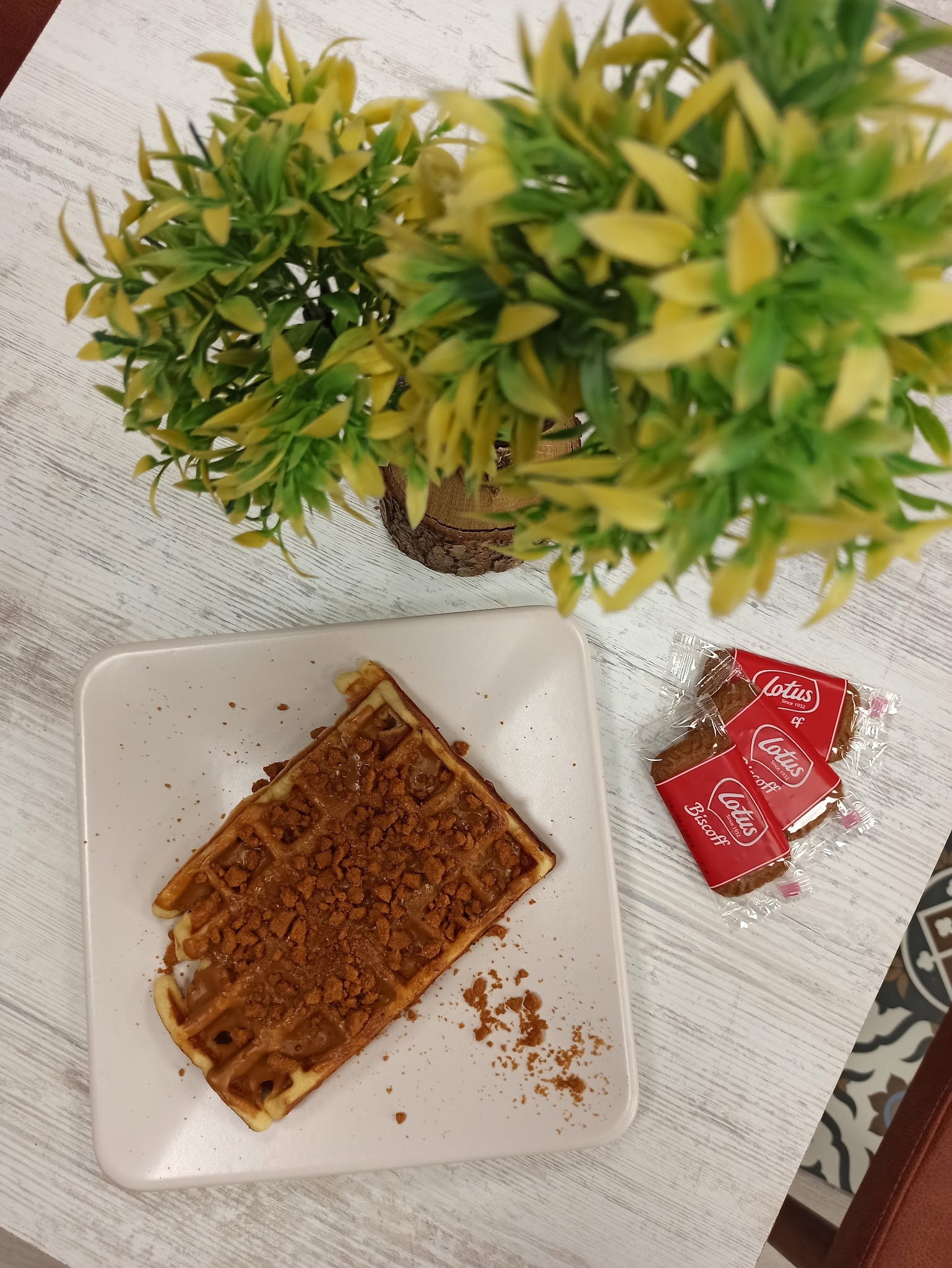 Belgium Waffle Cafe