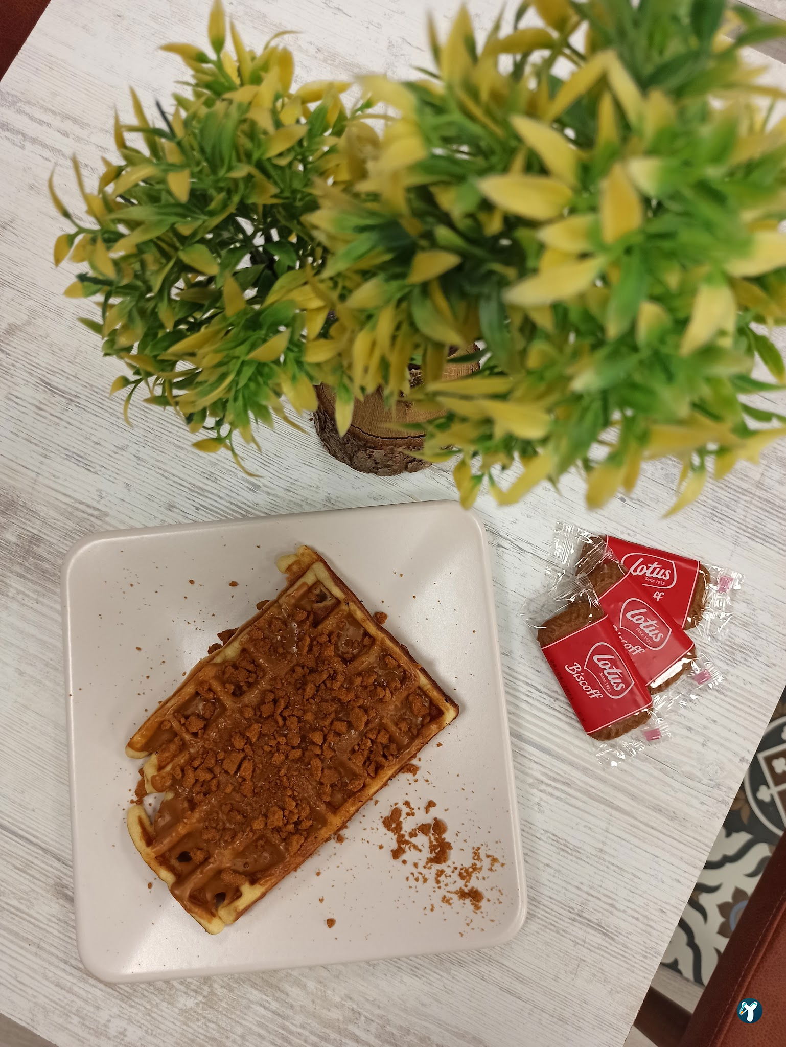 Belgium Waffle Cafe