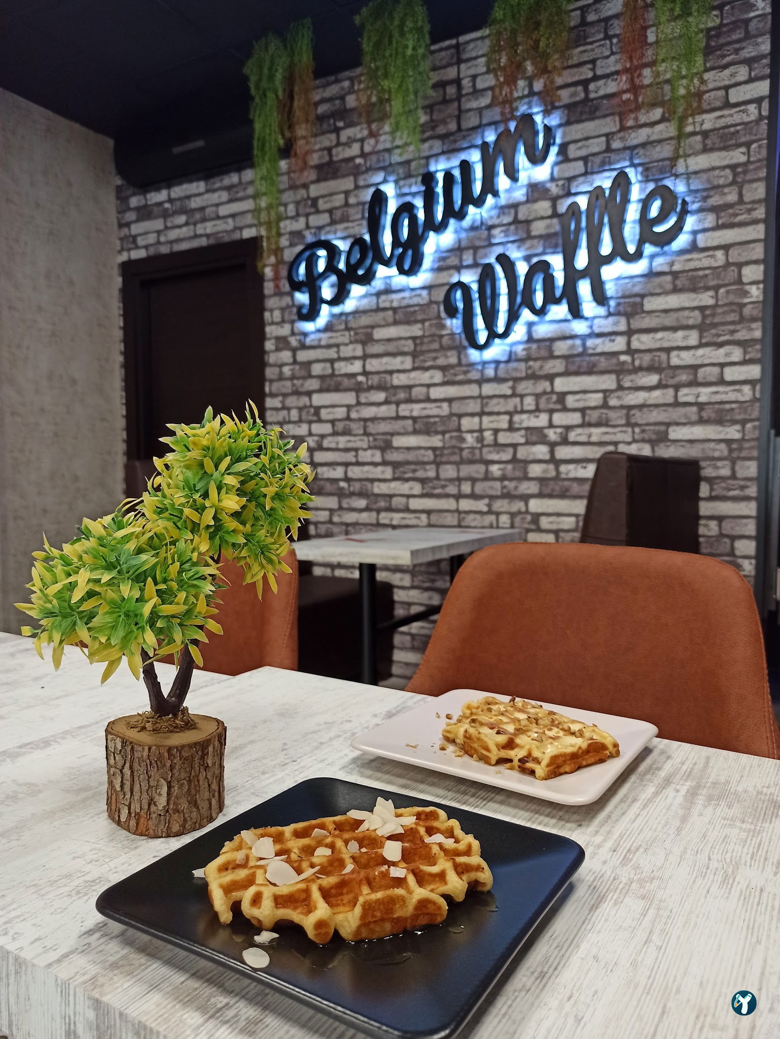 Belgium Waffle Cafe