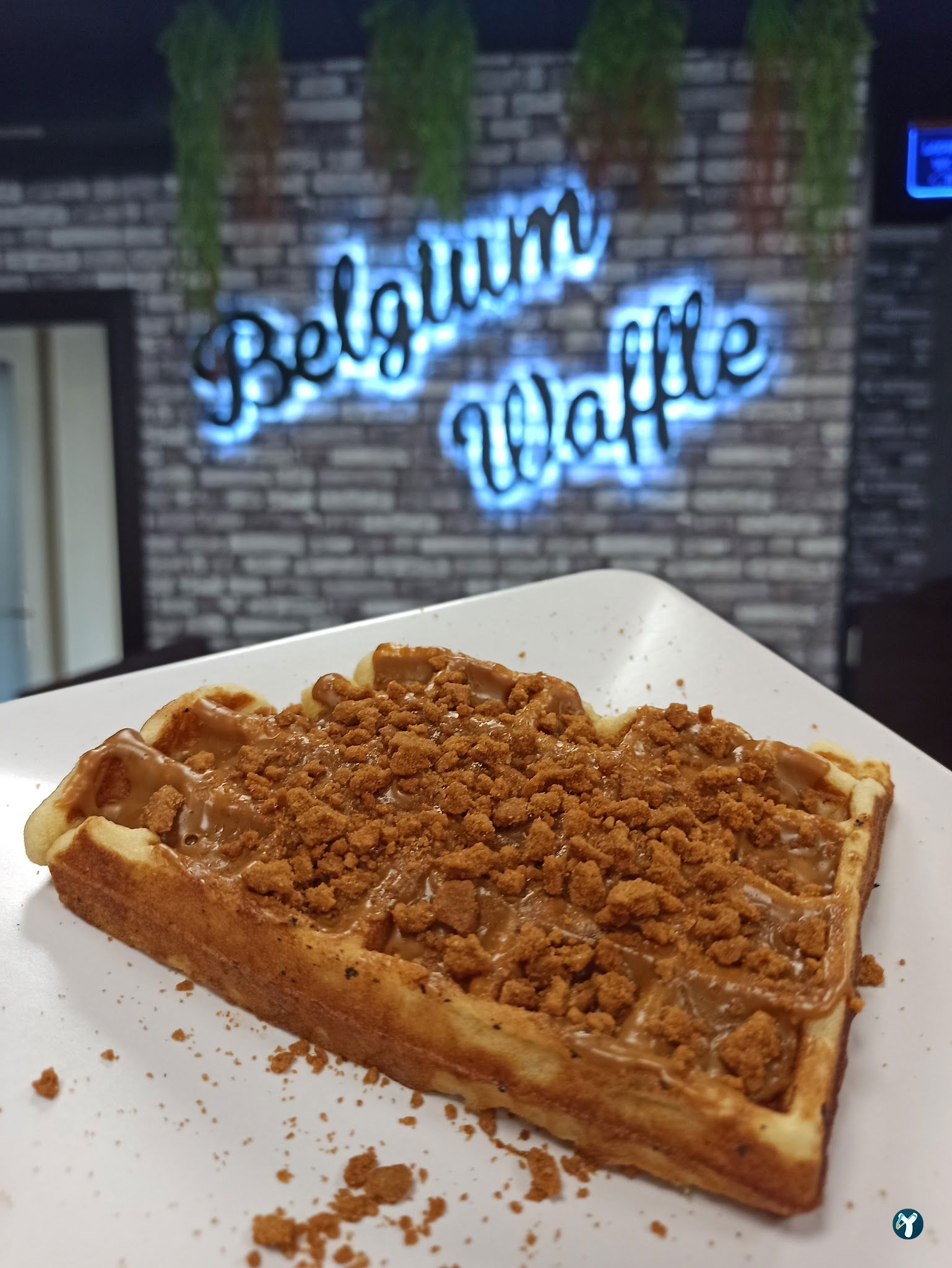 Belgium Waffle Cafe