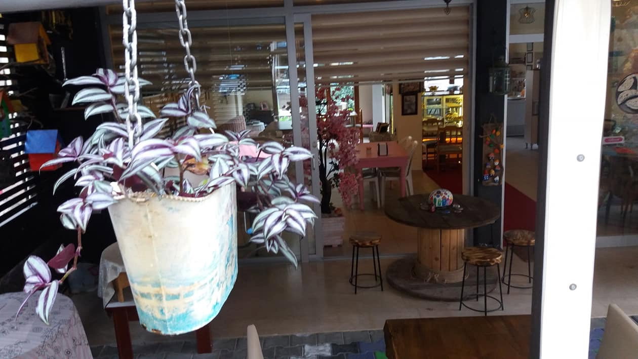 Kulübe 462 Cafe & Restaurant Zeynep Çakicibal