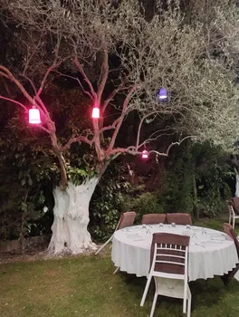 Cinarefe.Ltd.Sti@Gmail.Com resimleri