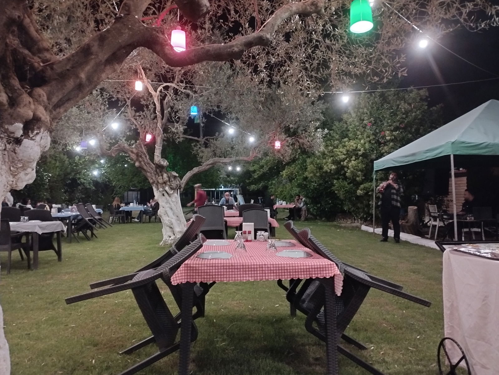 Cinarefe.Ltd.Sti@Gmail.Com