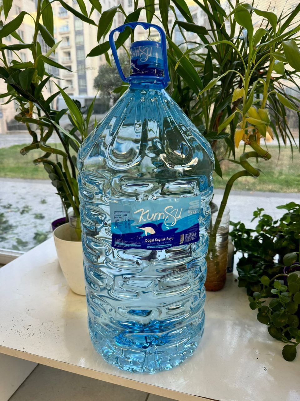 Yeni Tavuk