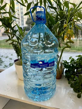 Yeni Tavuk resimleri