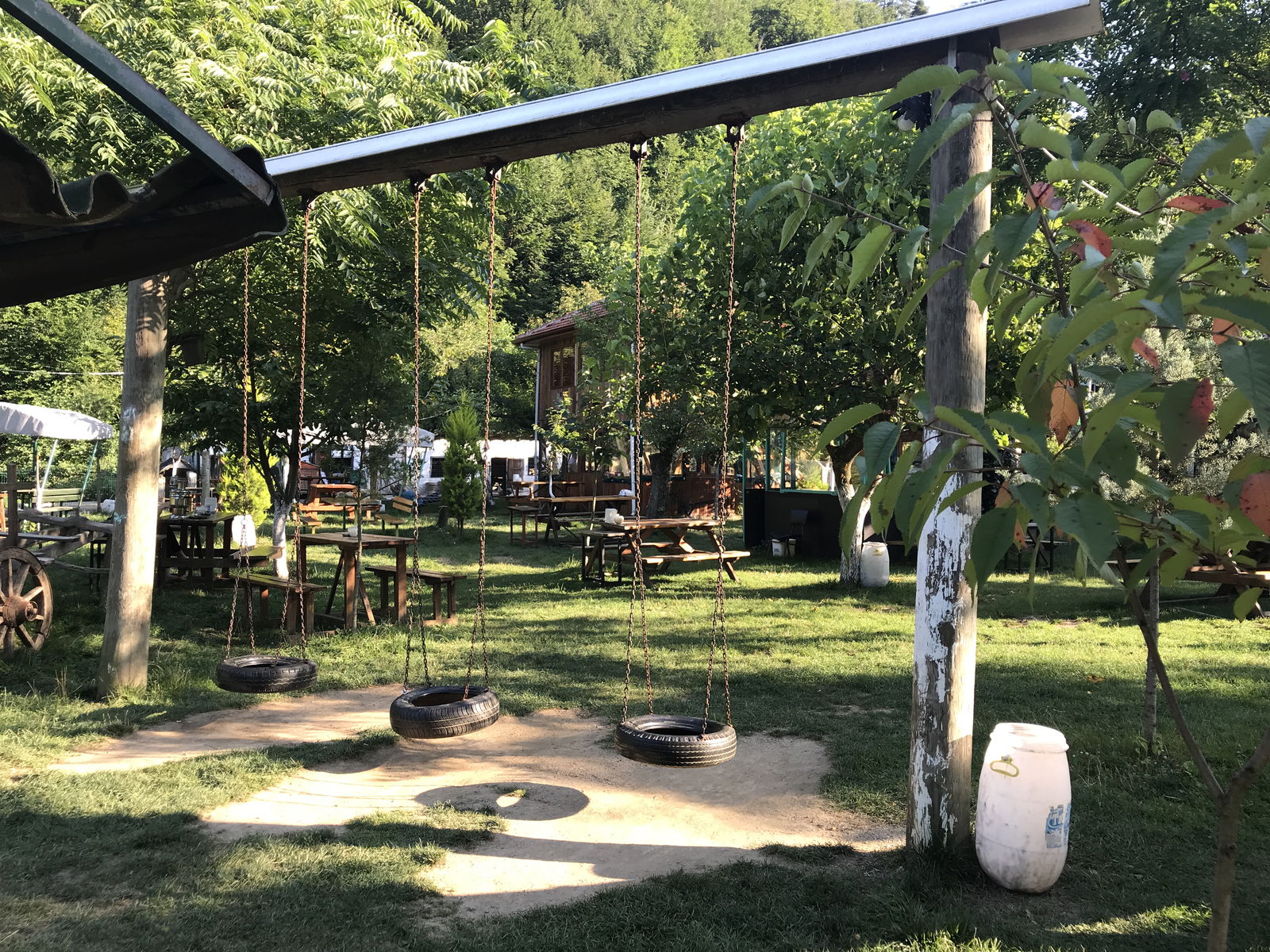 Dorukhan Canlı Alabalık