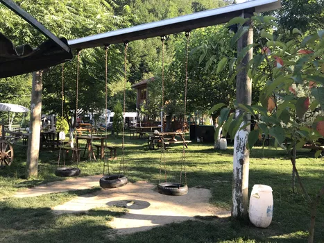 Dorukhan Canlı Alabalık resimleri