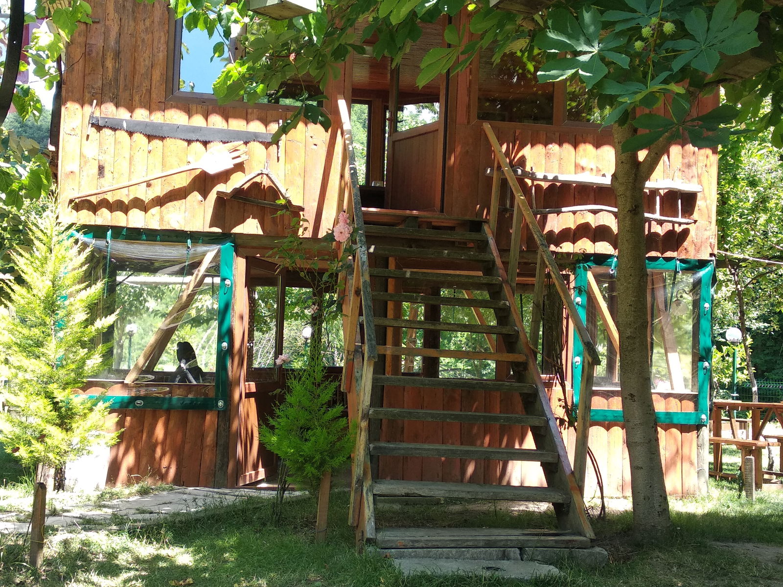 Dorukhan Canlı Alabalık