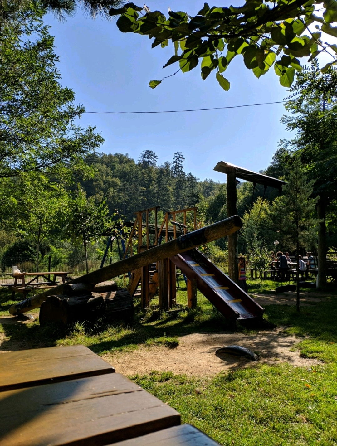 Dorukhan Canlı Alabalık