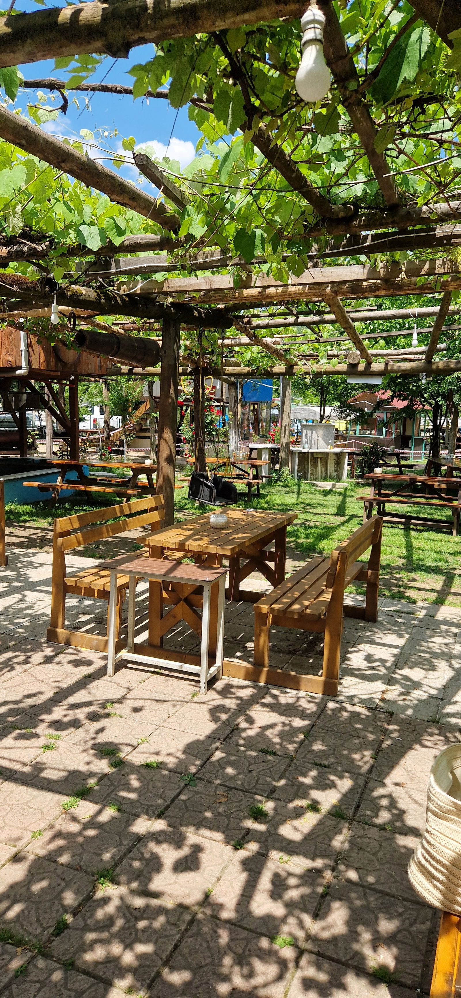 Dorukhan Canlı Alabalık