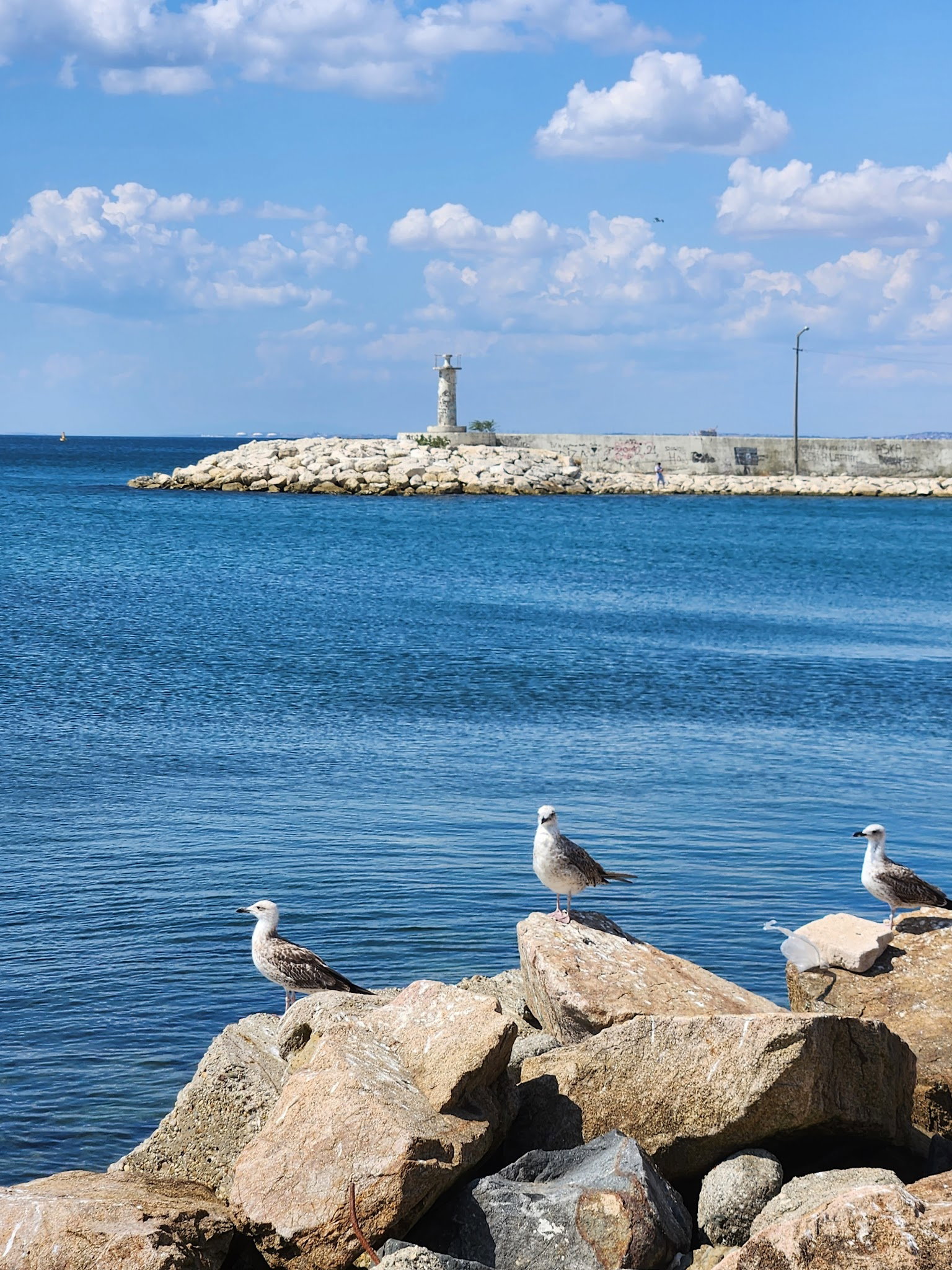Eski Marmara Balık Lokantası