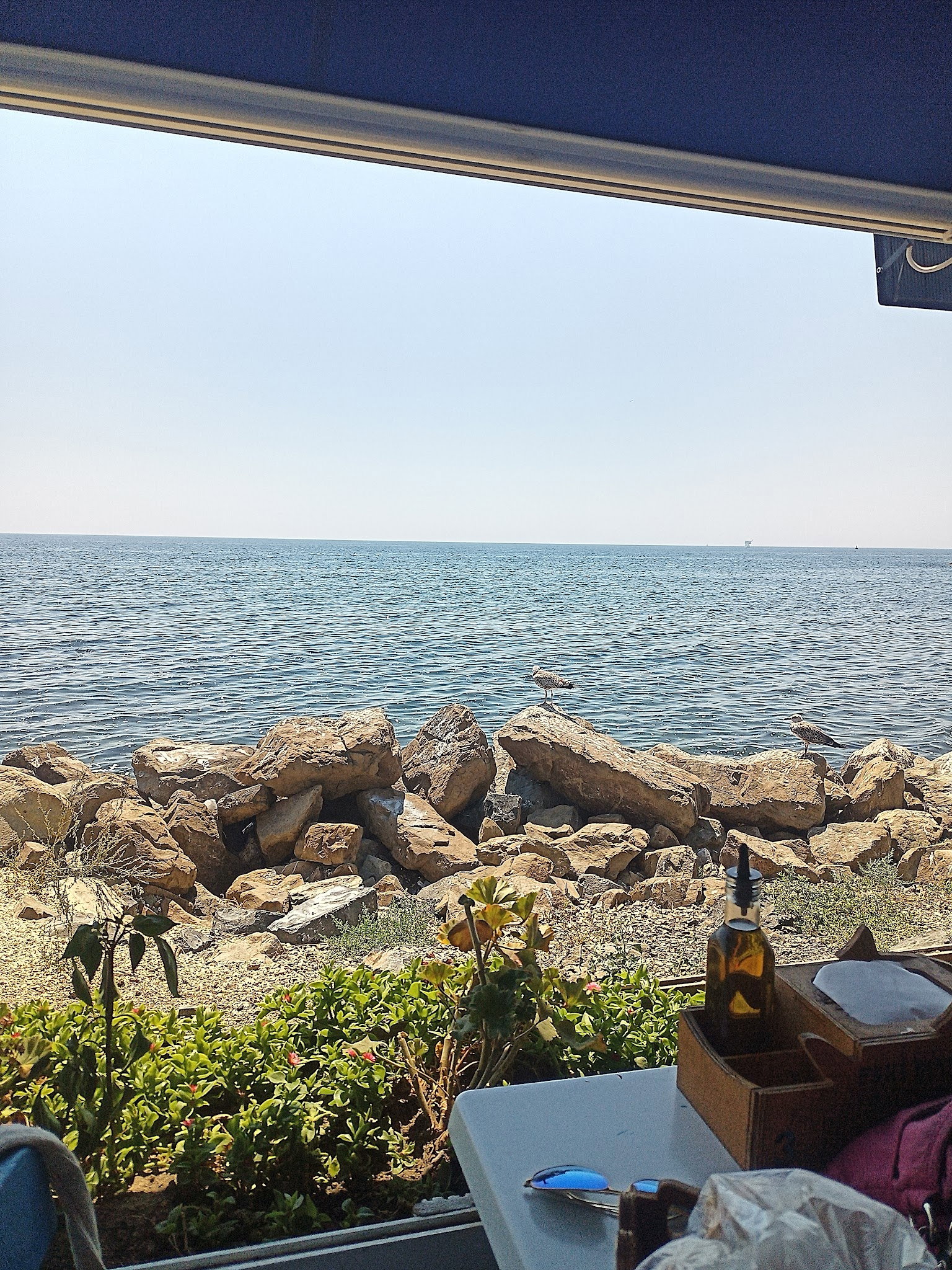 Eski Marmara Balık Lokantası