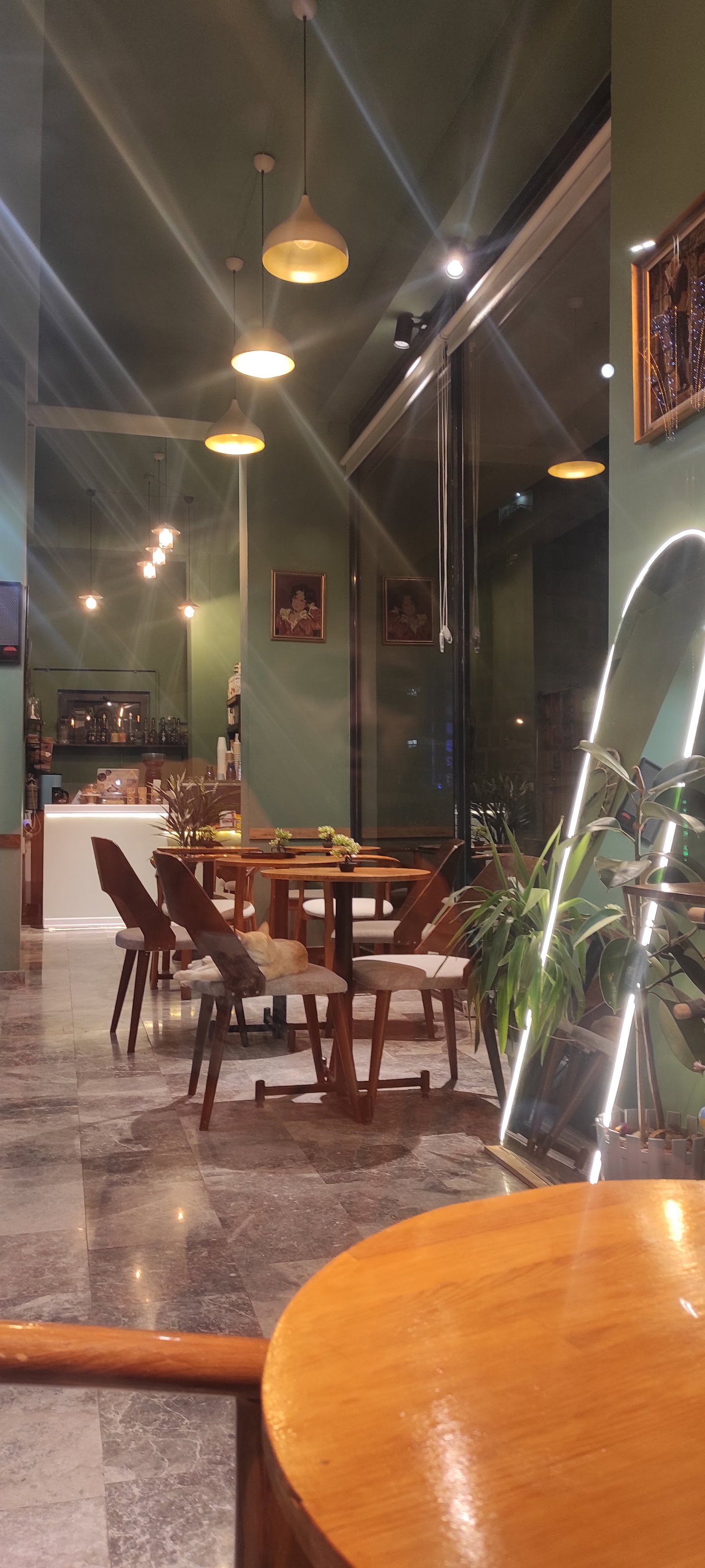 Libro Library Cafe