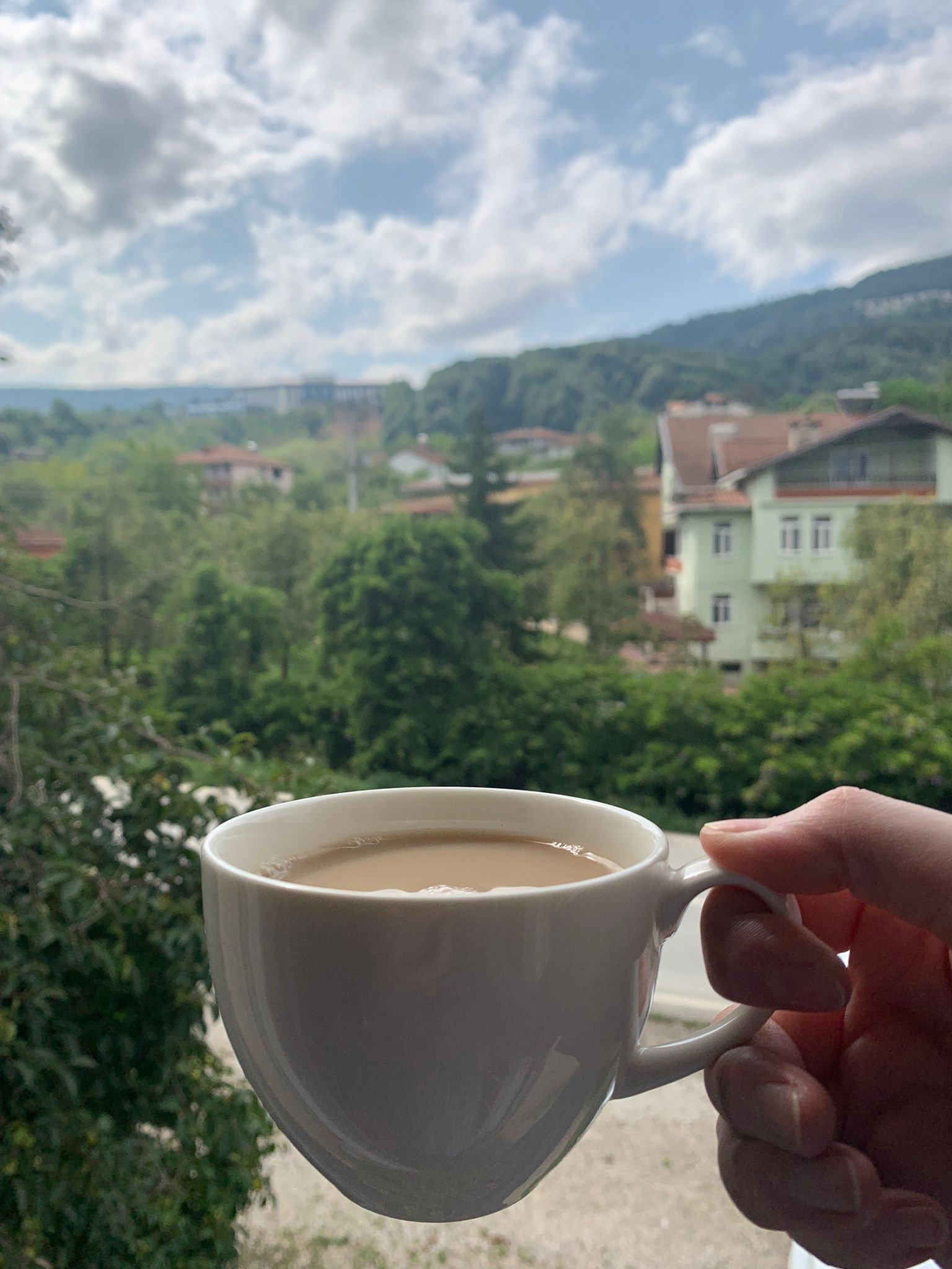 Tosbağa Cafe
