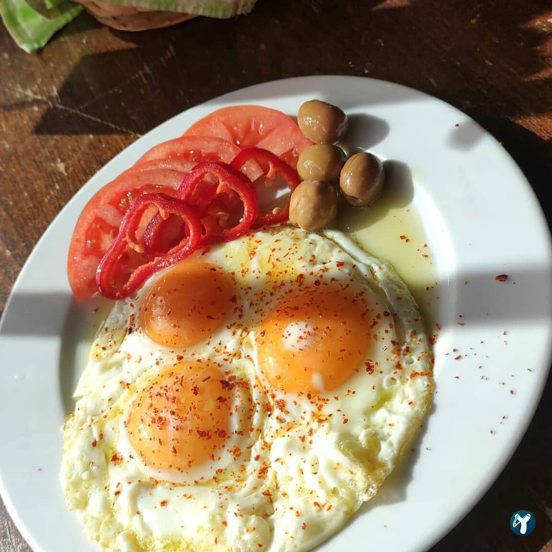 Tosbağa Cafe