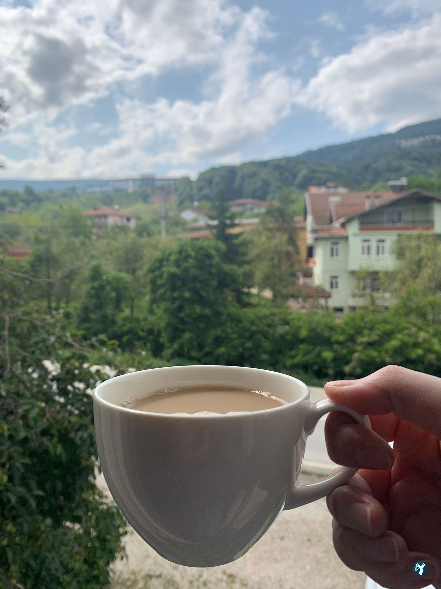 Tosbağa Cafe