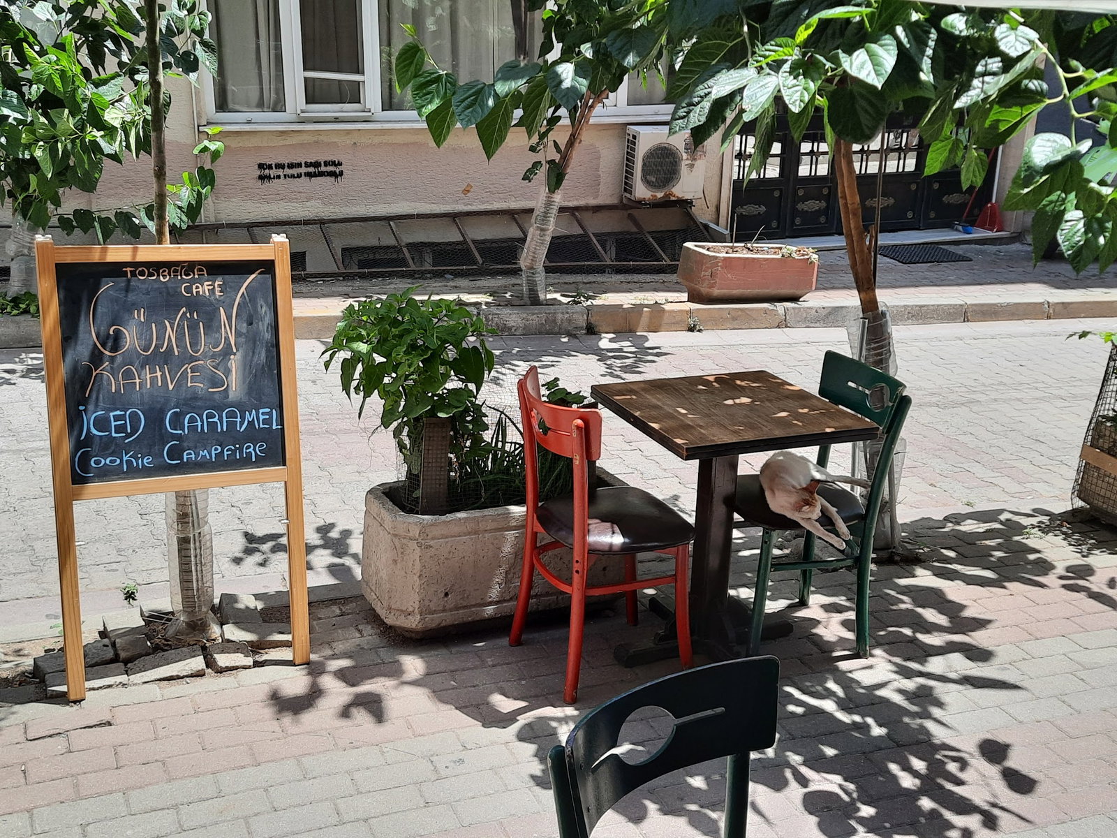 Tosbağa Cafe
