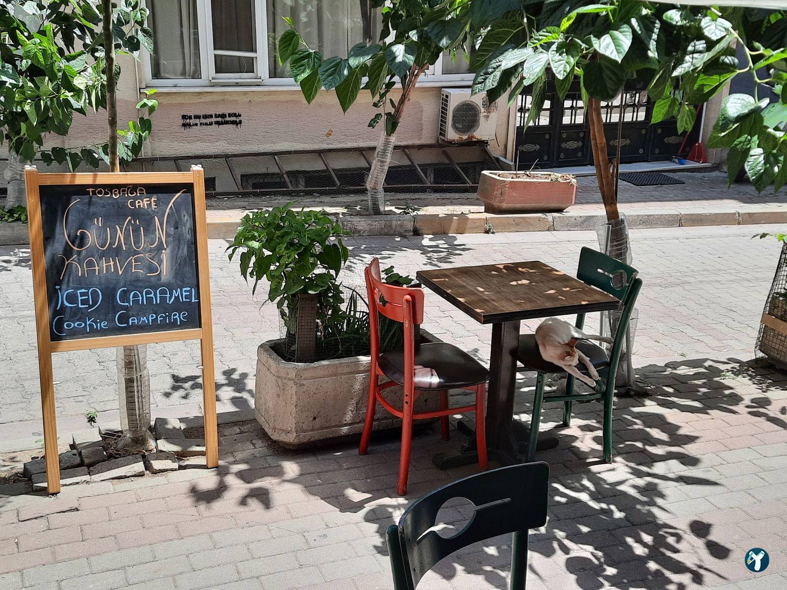 Tosbağa Cafe