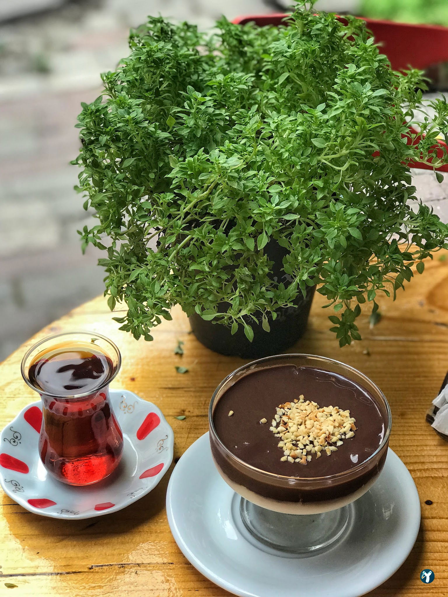 Tosbağa Cafe