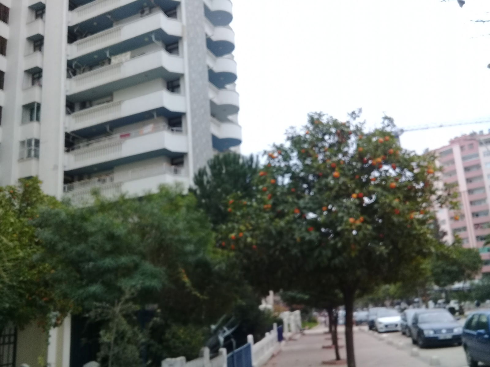 Soulmate Coffee & Bakery