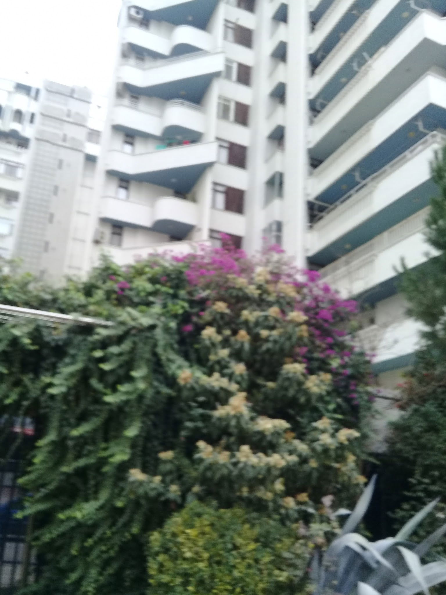 Soulmate Coffee & Bakery