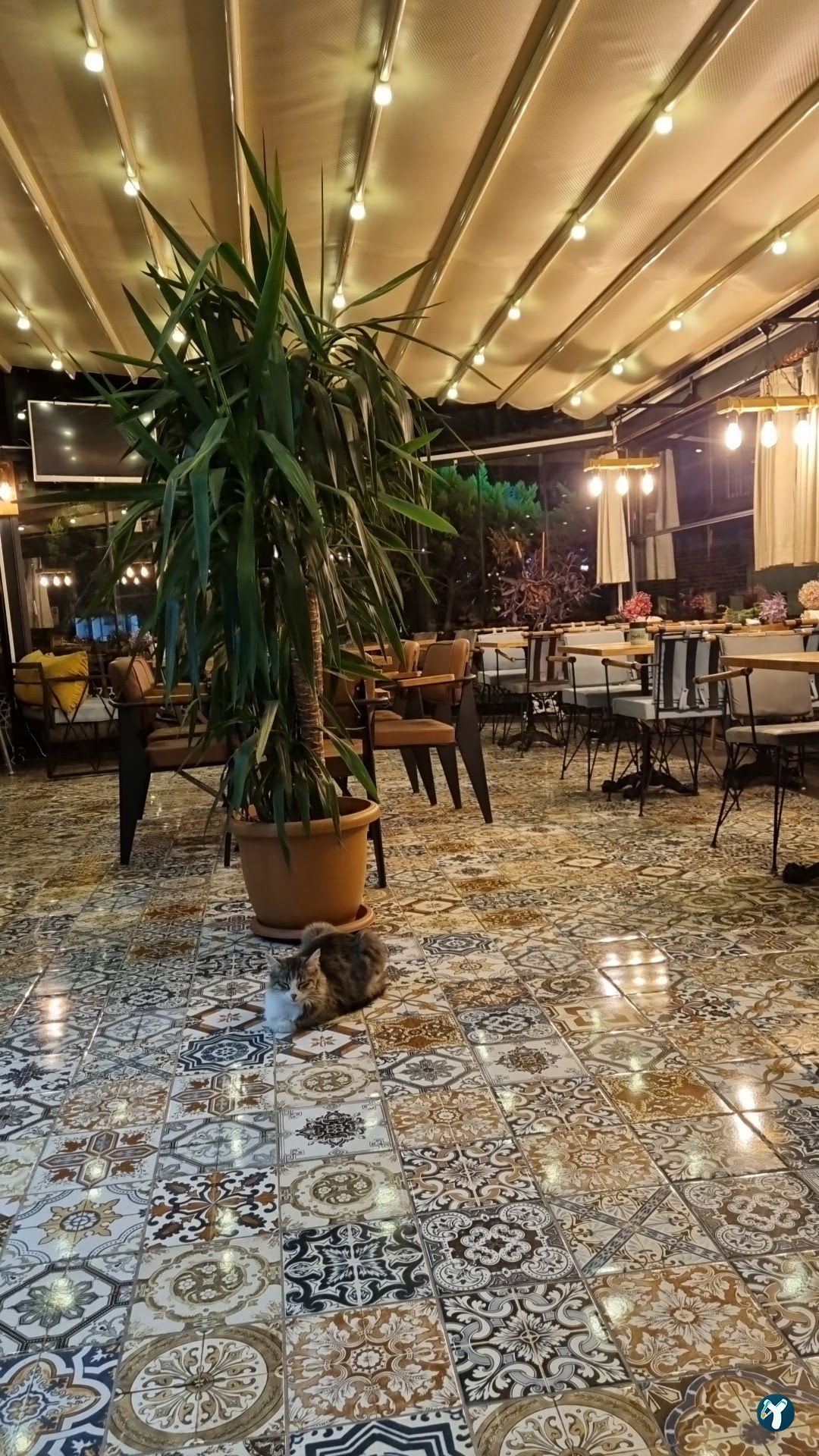 Han Cafe
