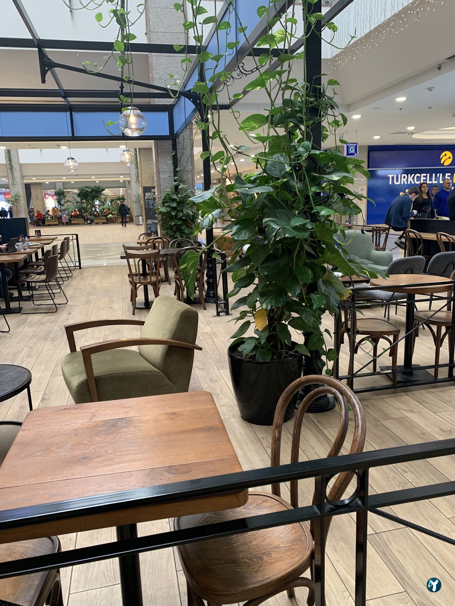 Caffè Nero