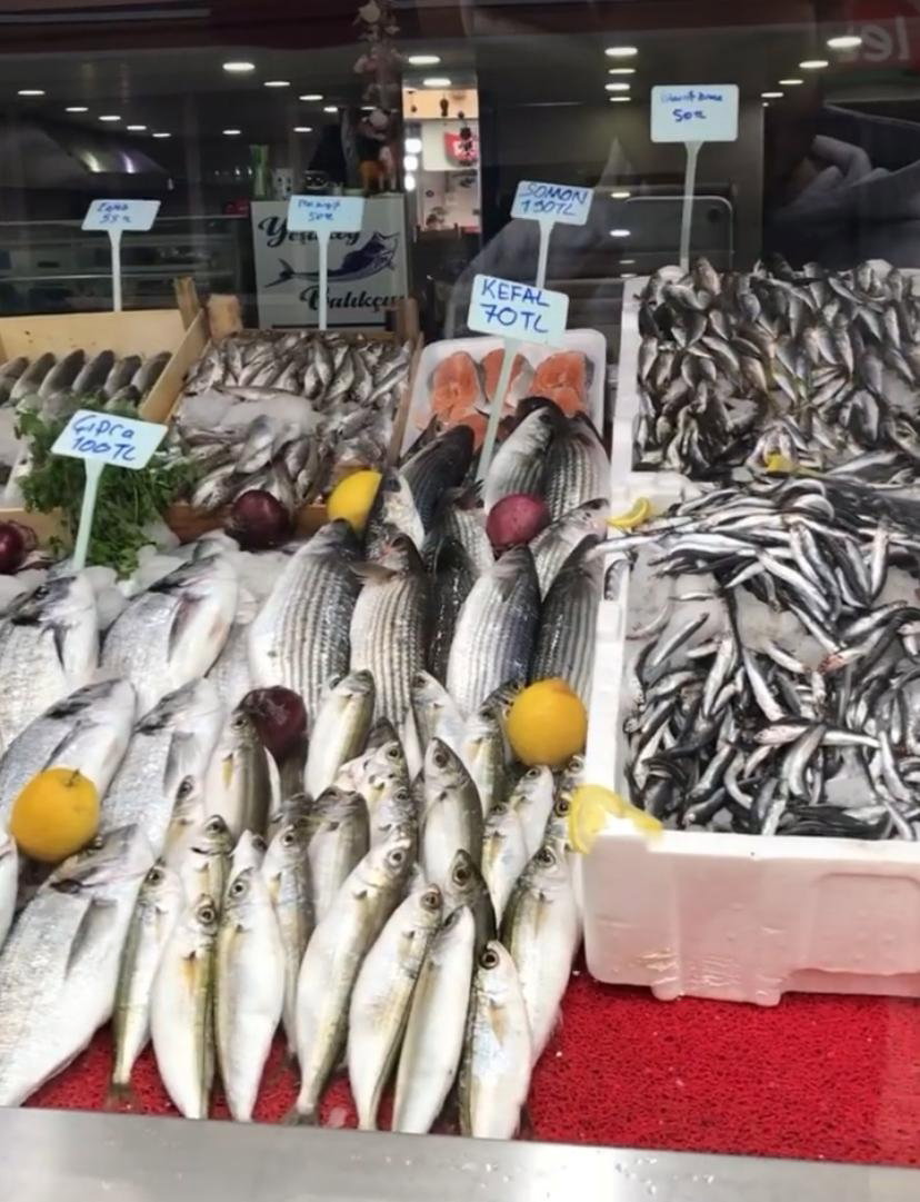 Yeşilköy Balıkçısı Seferihisar