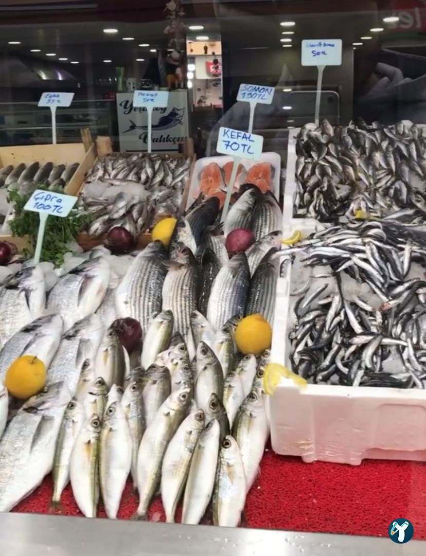 Yeşilköy Balıkçısı Seferihisar