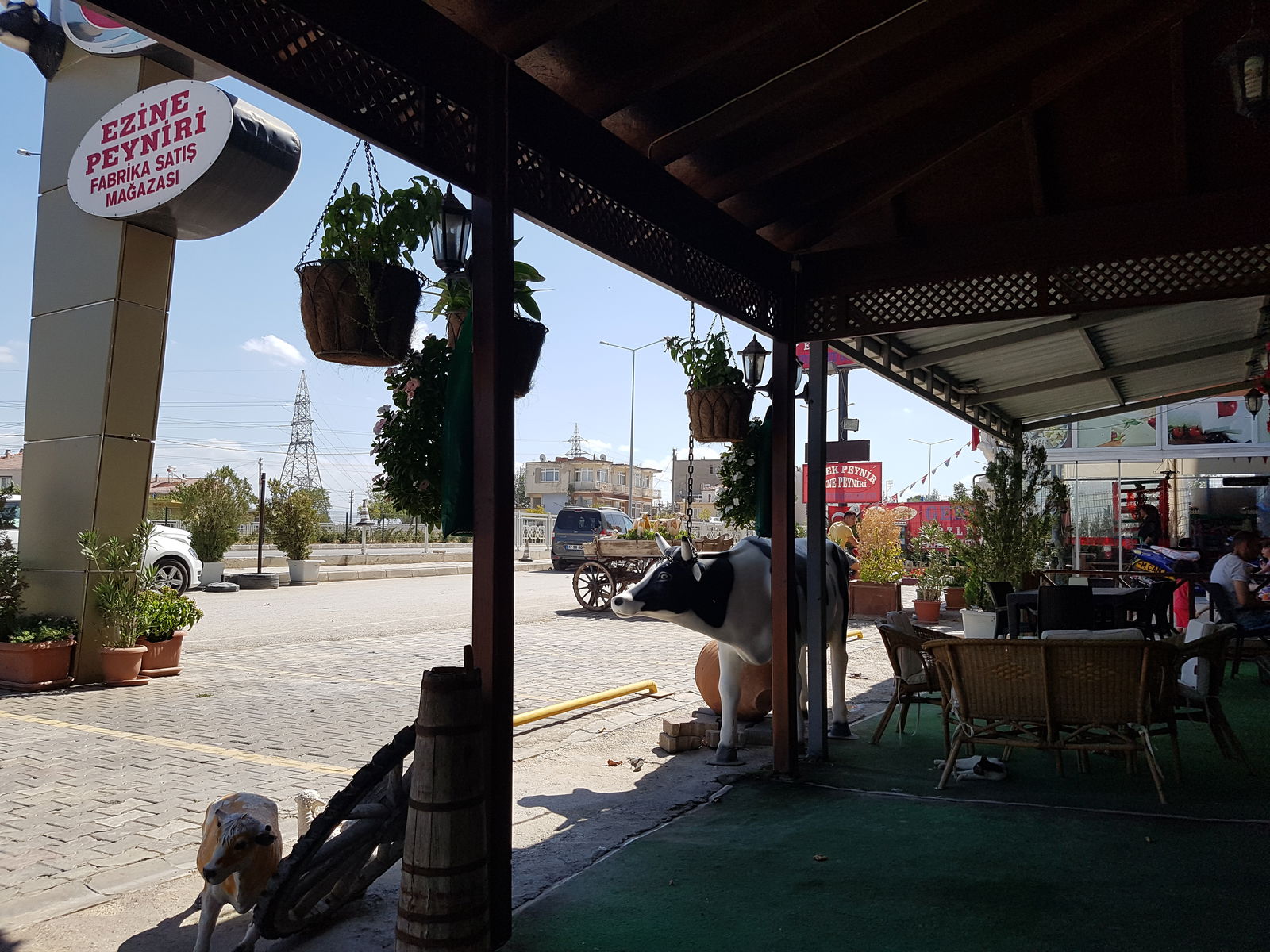 Ezine Peyniri - Yükseloğulları Peynircilik