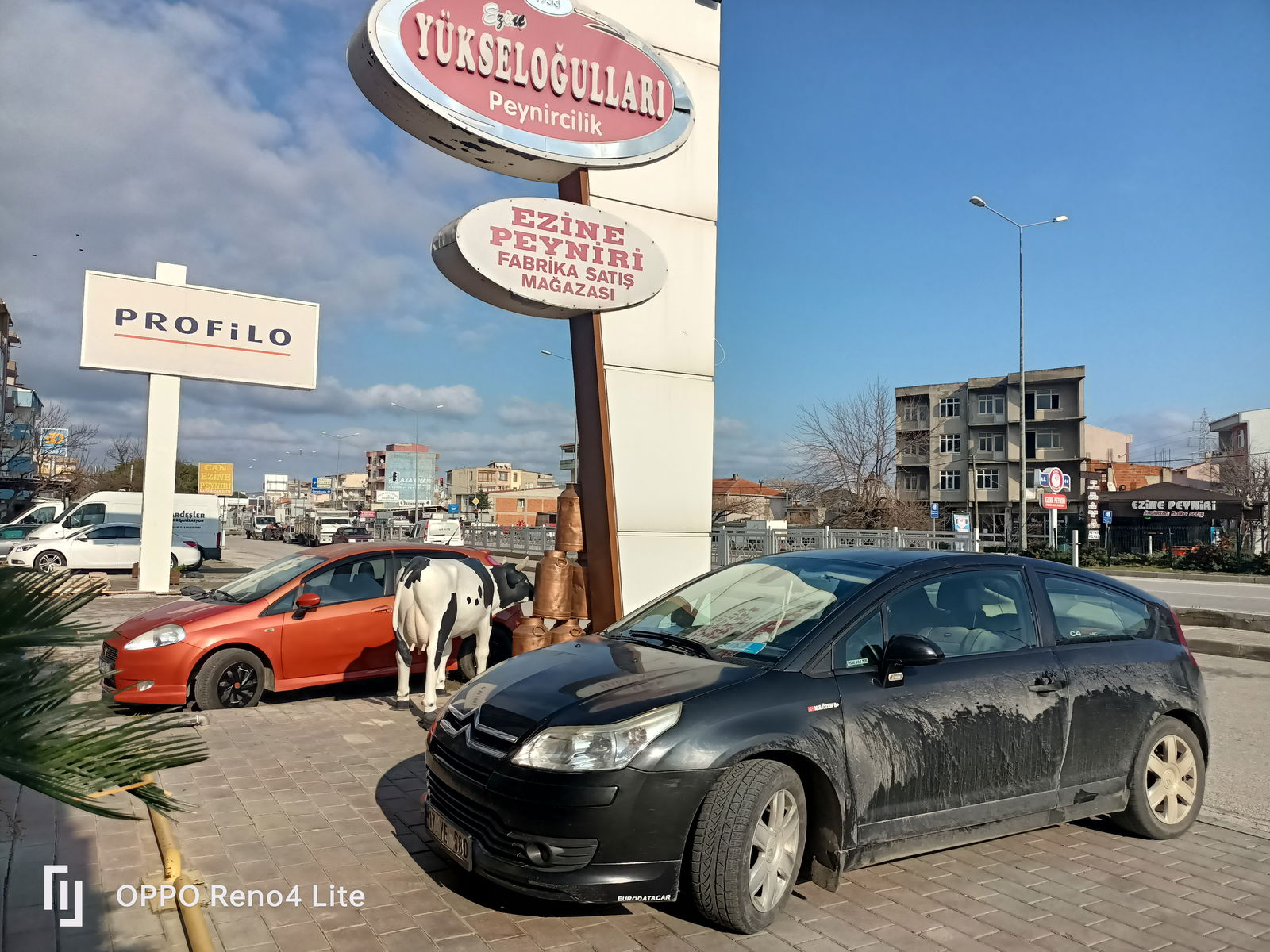 Ezine Peyniri - Yükseloğulları Peynircilik