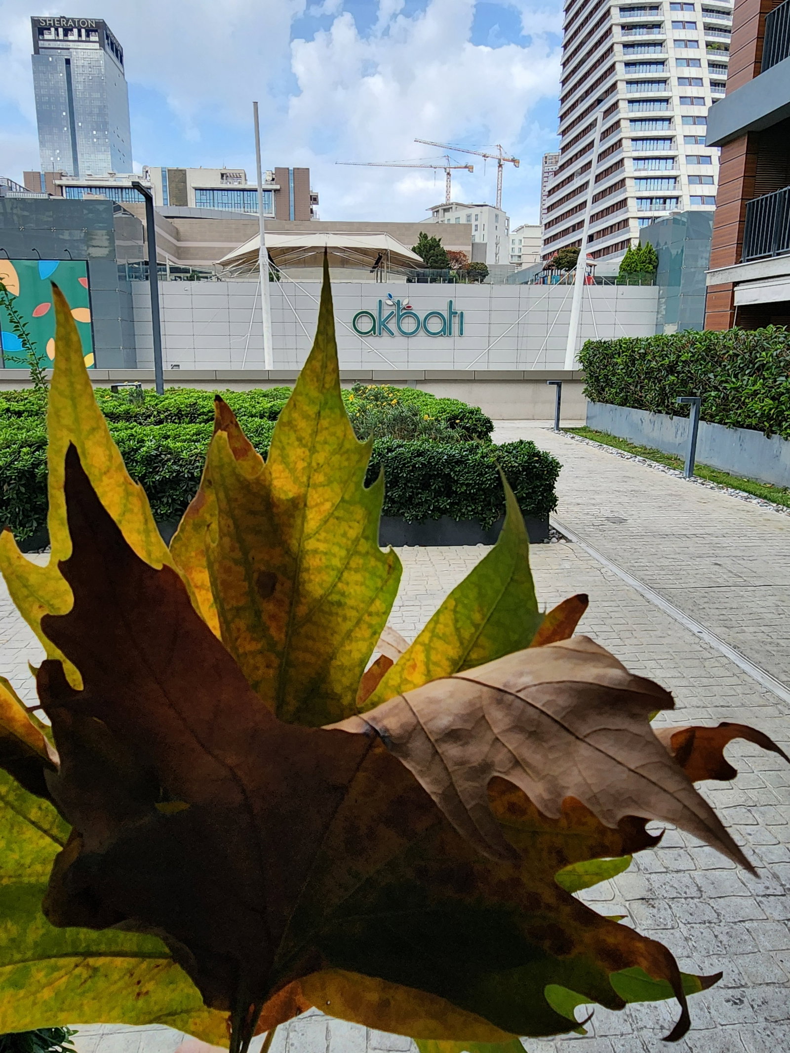 Akbati