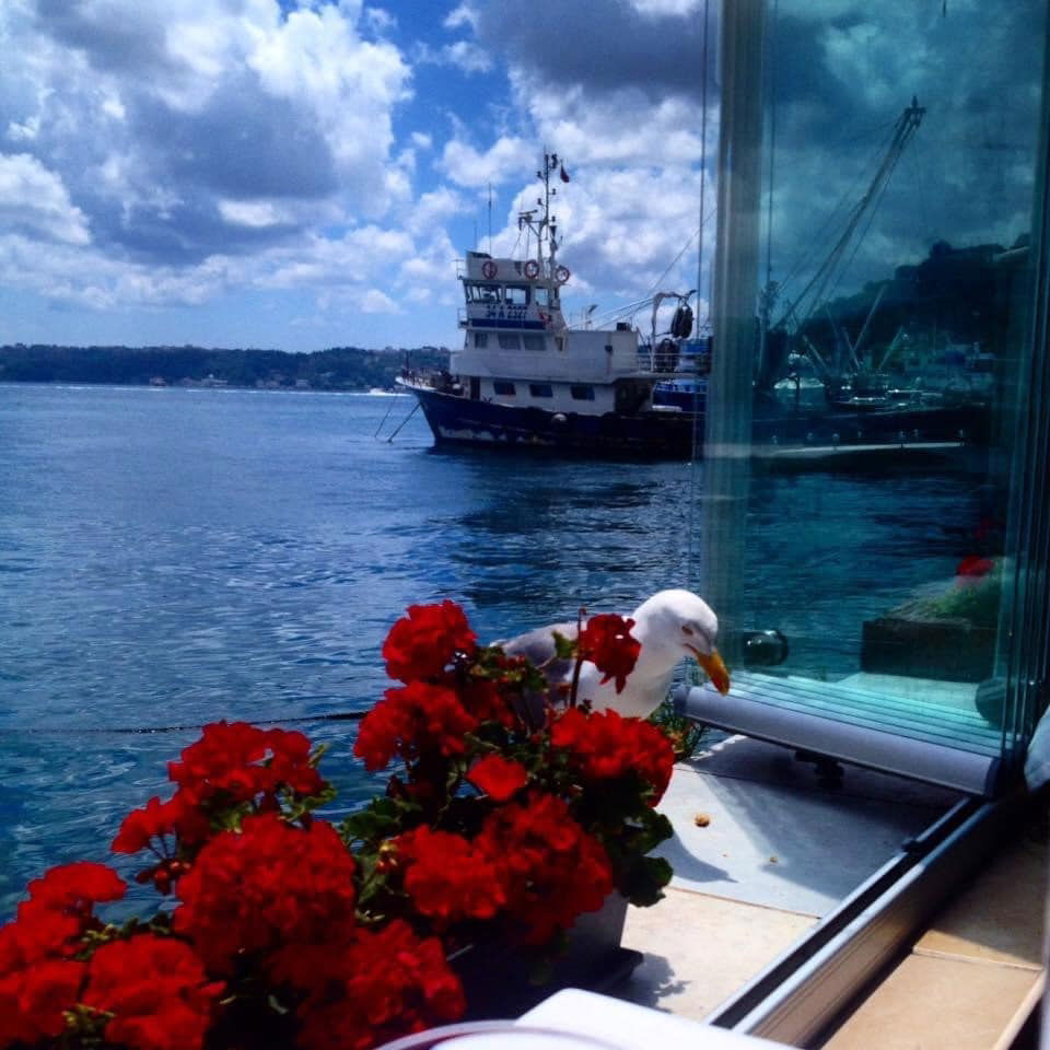 Limanda Balık Restaurant