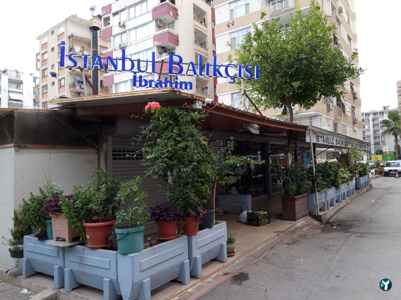 İstanbul Balıkçısı İbrahim