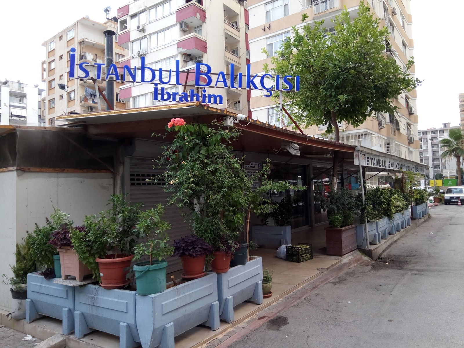 İstanbul Balıkçısı İbrahim