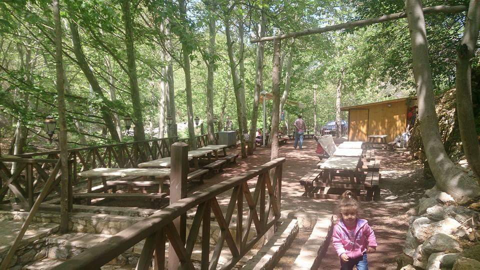 Çerez Büfe Dinlenme Tesisleri