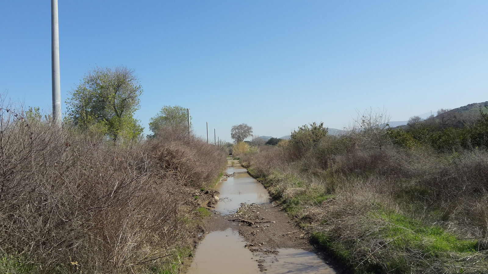 Emiralem Yayla Kahvehanesi 1949
