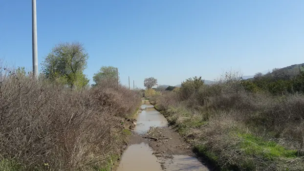 Emiralem Yayla Kahvehanesi 1949 resimleri