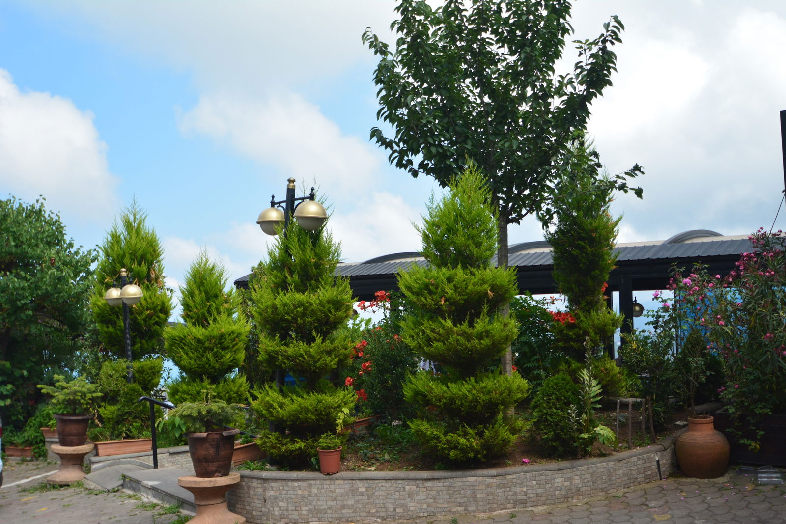 Akpınar Restaurant Akçaabat Köfte