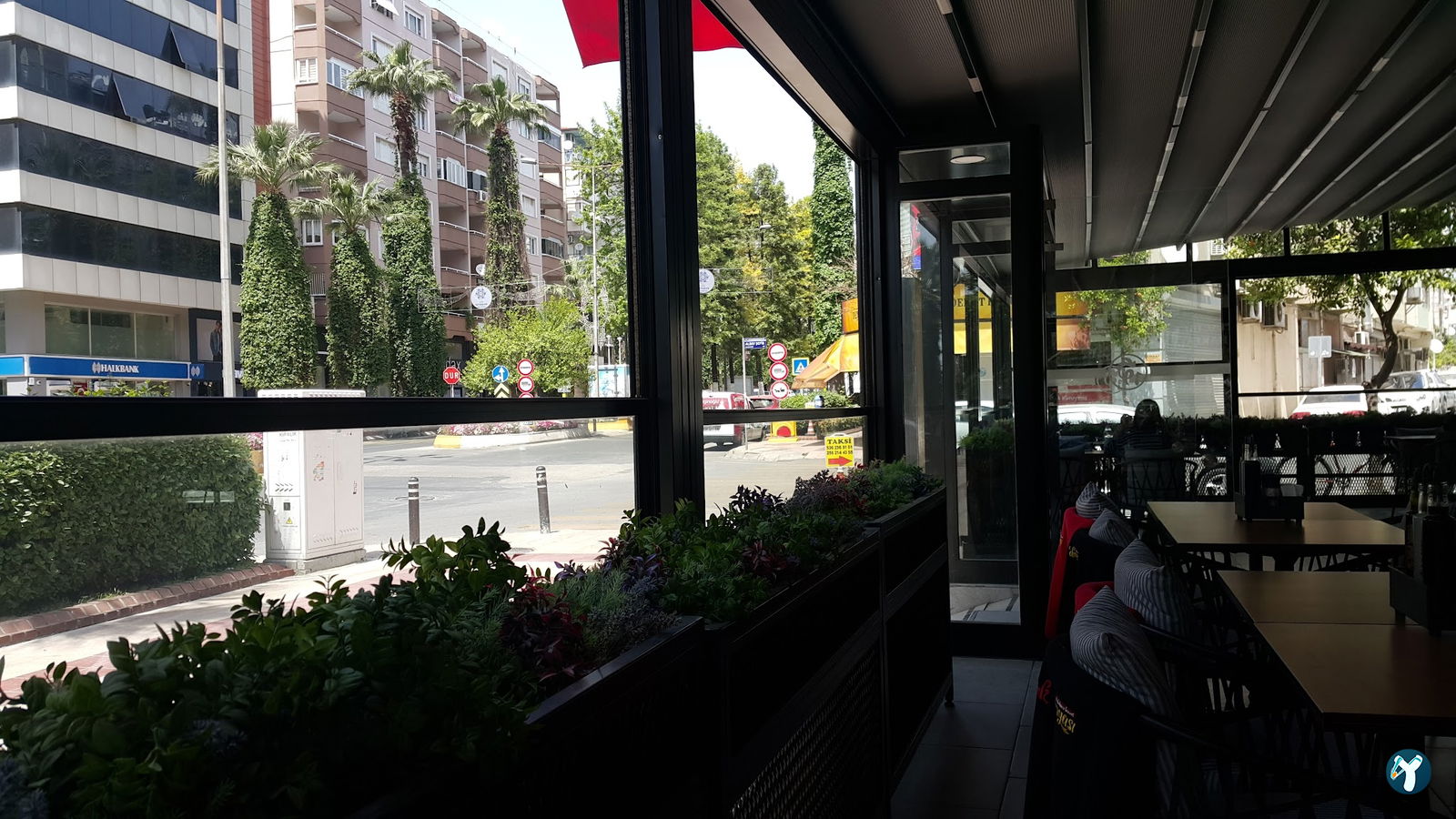 Tavuk Dünyası 09 Aydın