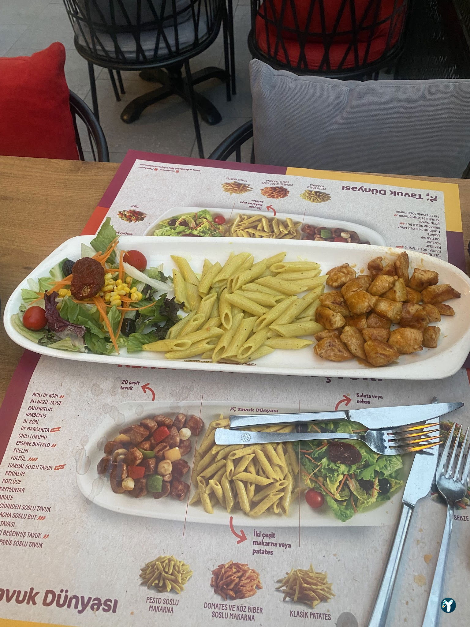 Tavuk Dünyası 09 Aydın