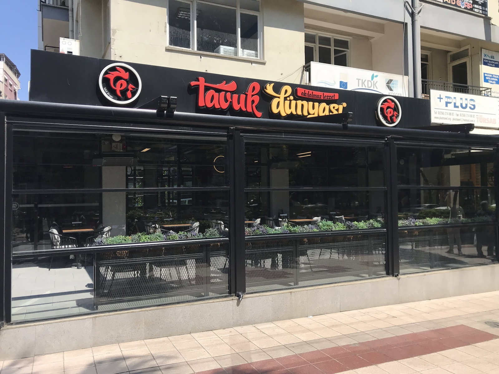 Tavuk Dünyası 09 Aydın