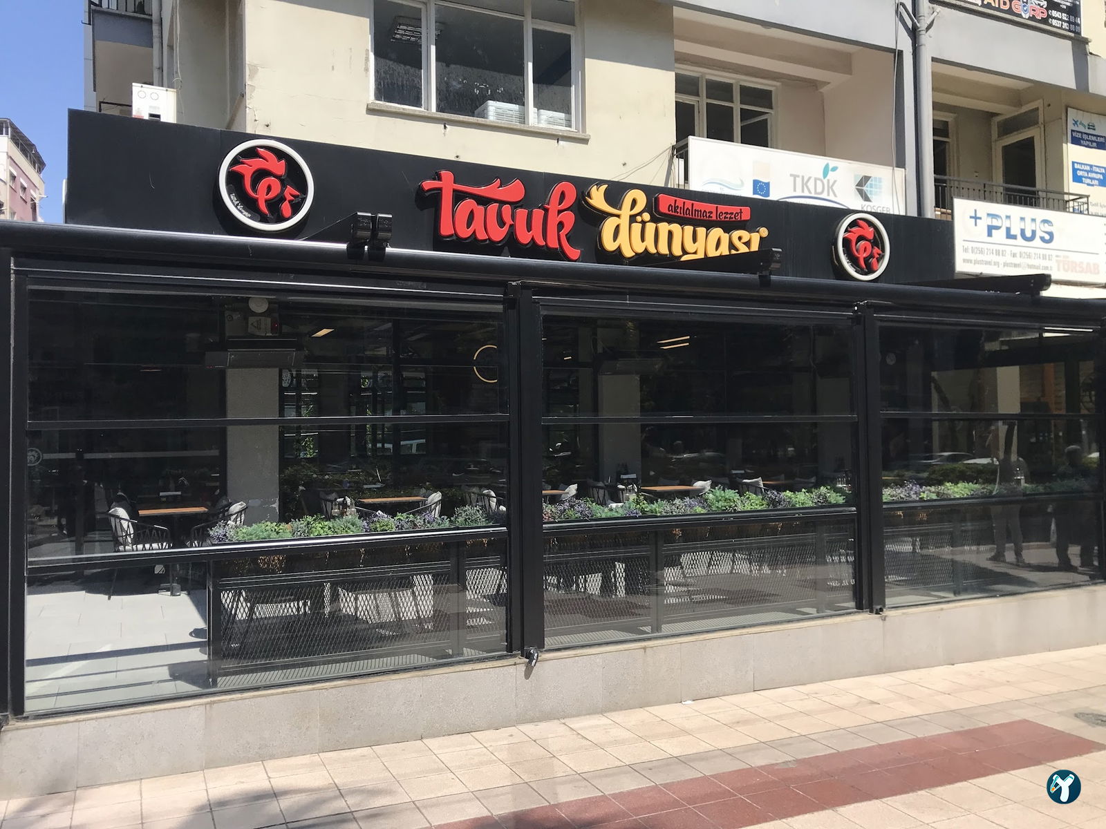 Tavuk Dünyası 09 Aydın