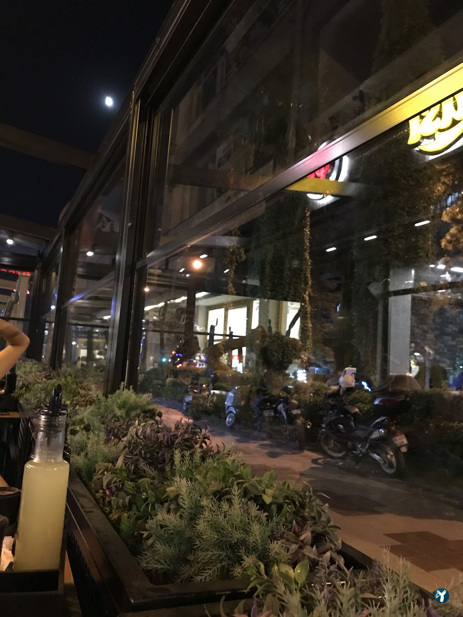 Tavuk Dünyası 09 Aydın