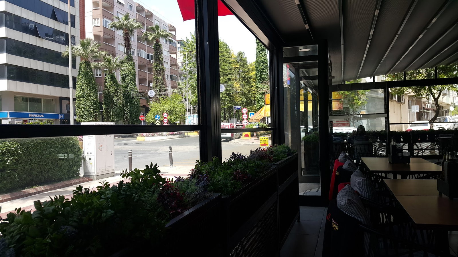 Tavuk Dünyası 09 Aydın