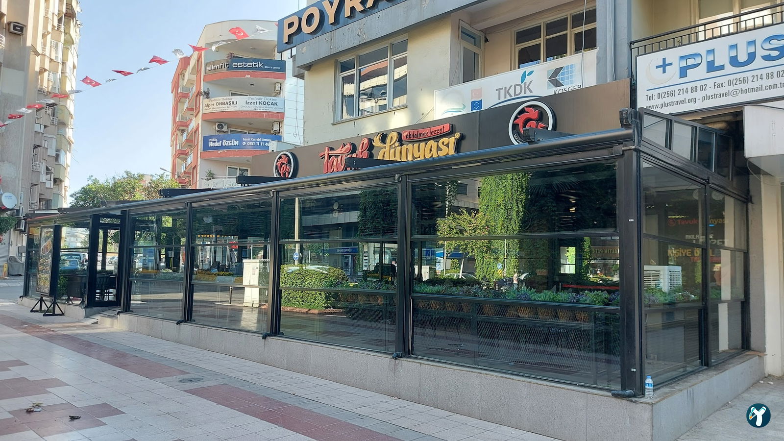 Tavuk Dünyası 09 Aydın