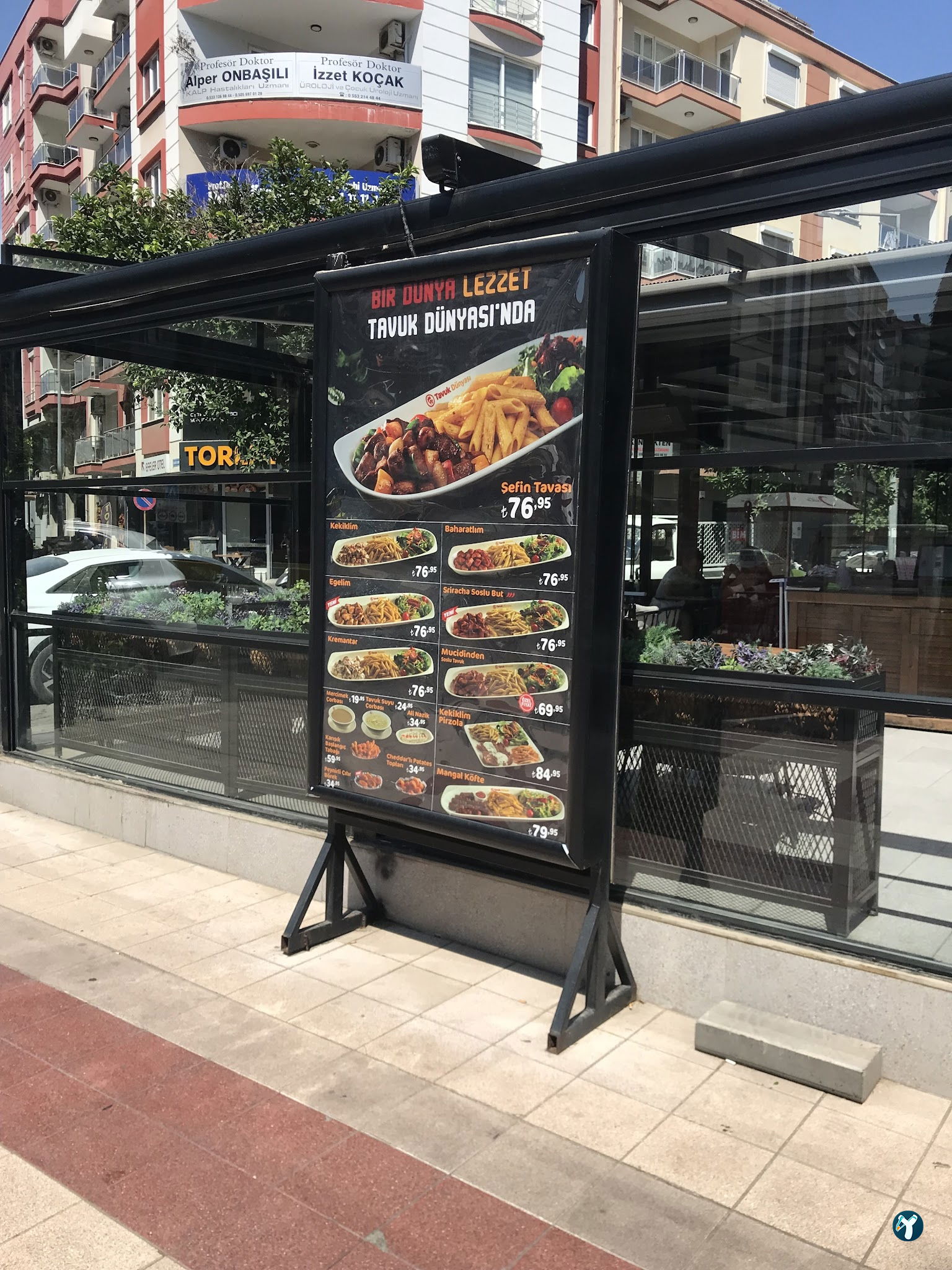 Tavuk Dünyası 09 Aydın