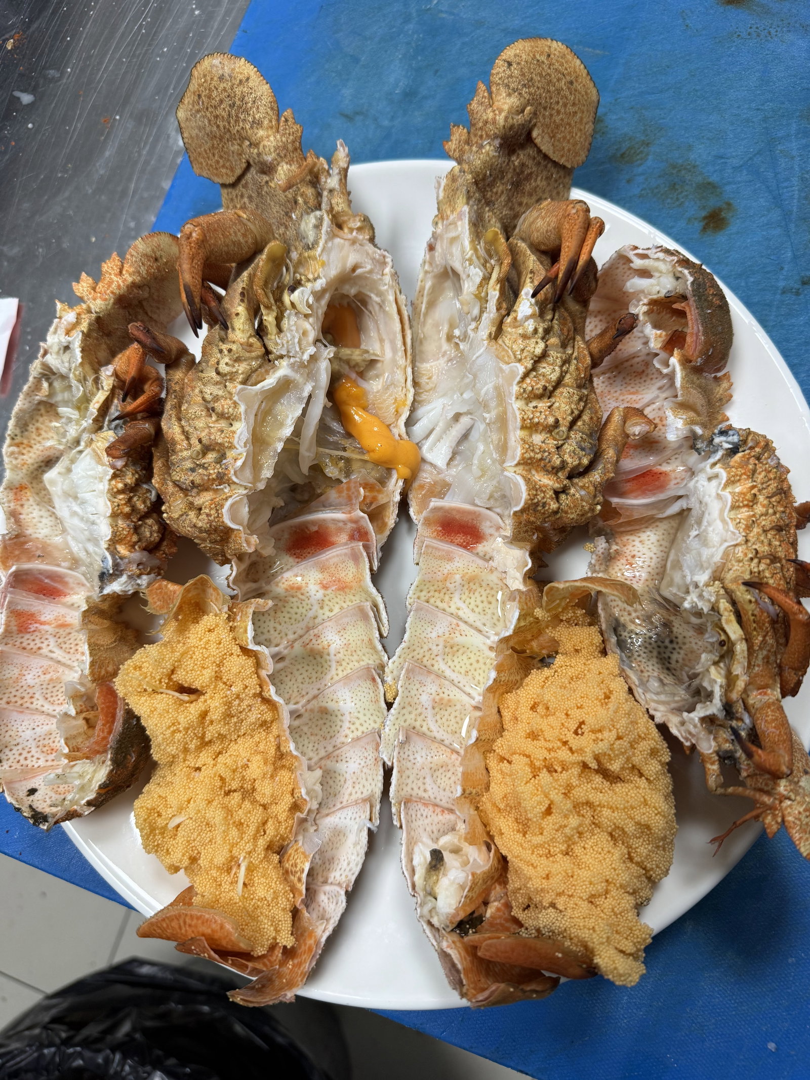 Dalaman Okyanus Balık Restaurant