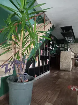 Paleni Cafe resimleri