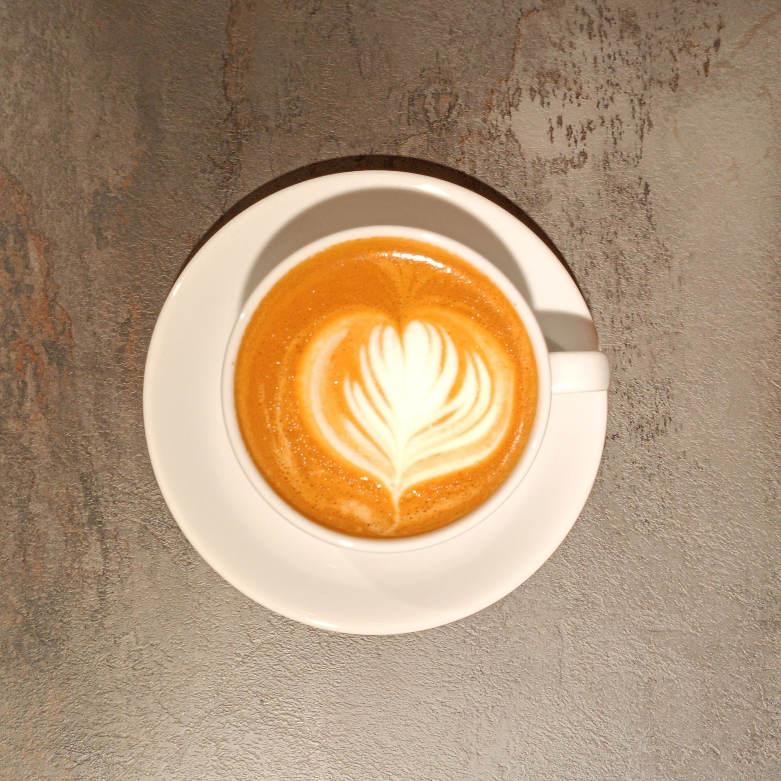 Daily Drip Specialty Coffee